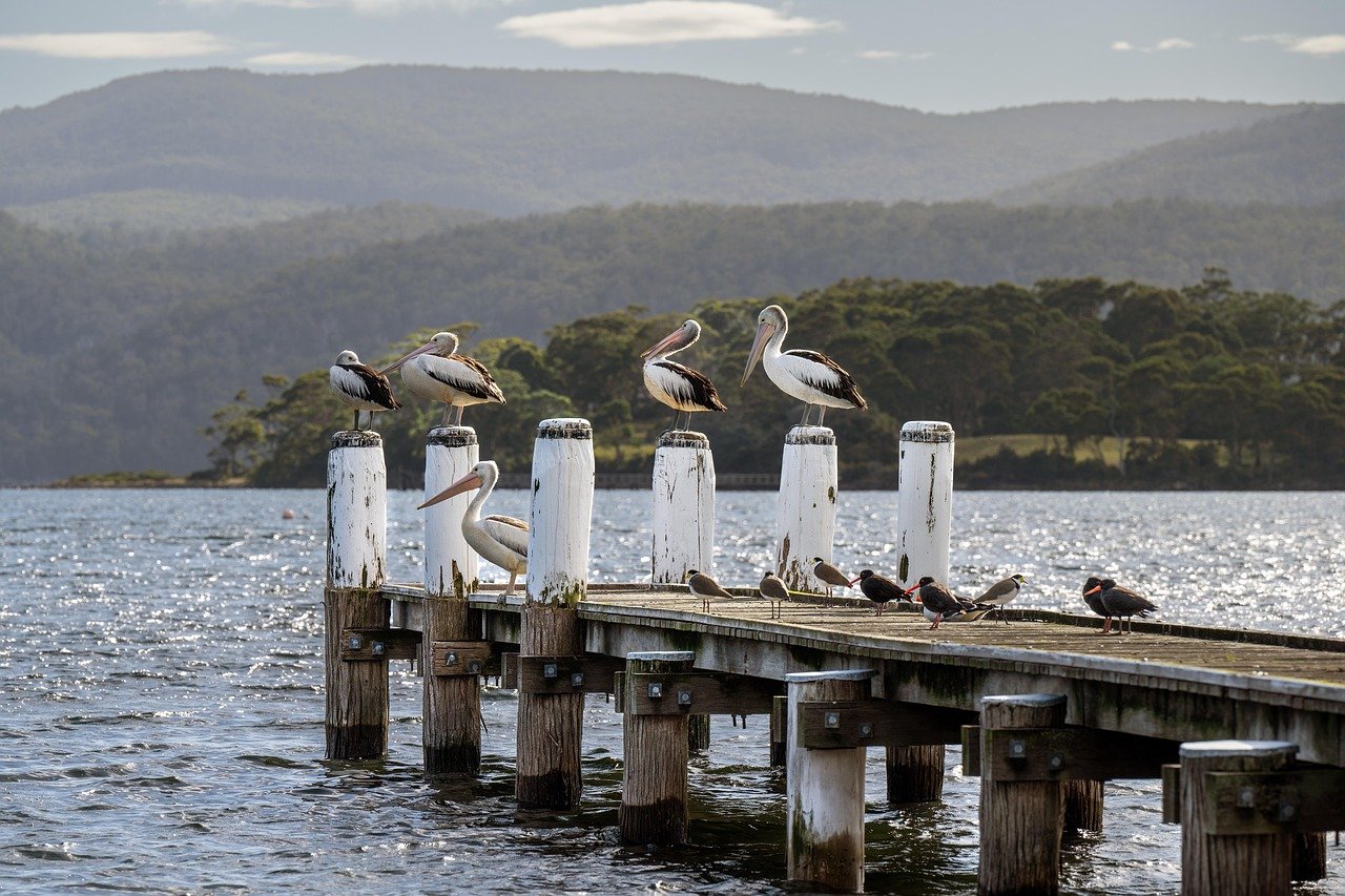 Tasmania